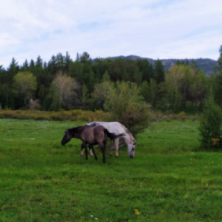 Мой Казахстан